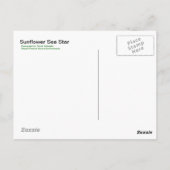Zonnebloem Zee Star - Briefkaart (Achterkant)