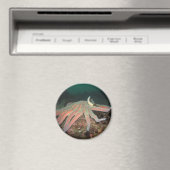 Zonnebloem Zee Star - Magnet Magneet (Insitu (Vaatwasser))