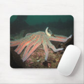 Zonnebloem Zee Star - Mousepad Muismat (Met muis)