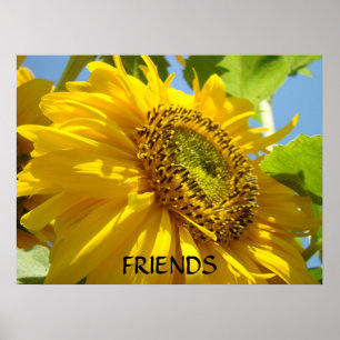 ZONNEBLOEM Zonnebloemen Kunst Prints Gelijnd Kunst
