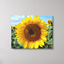 Zonnebloemcanvas afdrukken