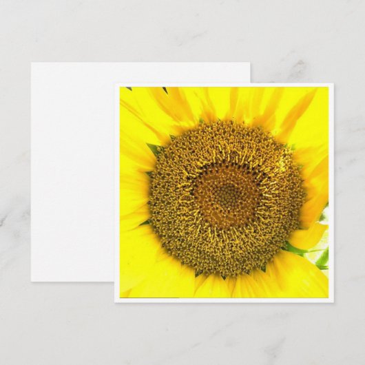 Zonnebloemcentrum (Voorkant / Achterkant)