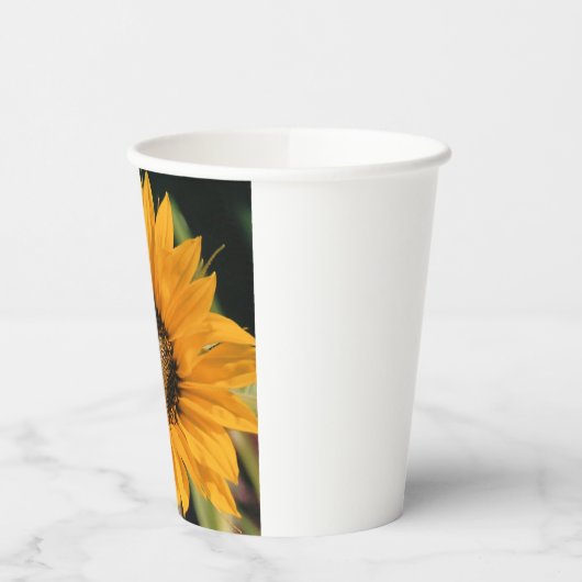 Zonnebloemdocument Koppen Papieren Bekers (Links)