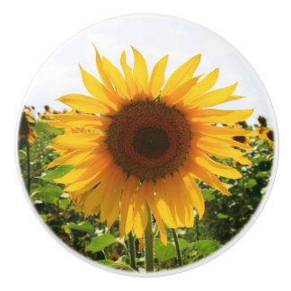 Zonnebloemdrager Keramische Knop