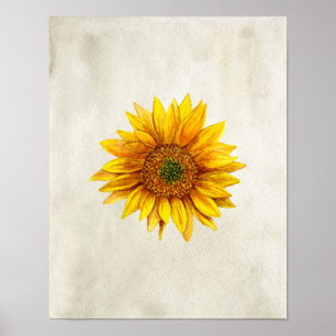 Zonnebloemdruk. Rijke wandkunst. Landbloem Poster