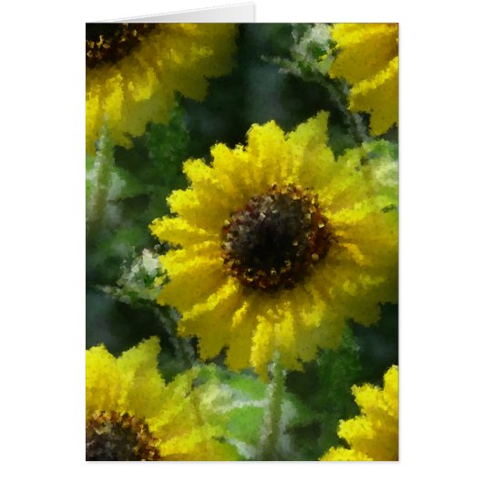 Zonnebloemen (Voorkant)