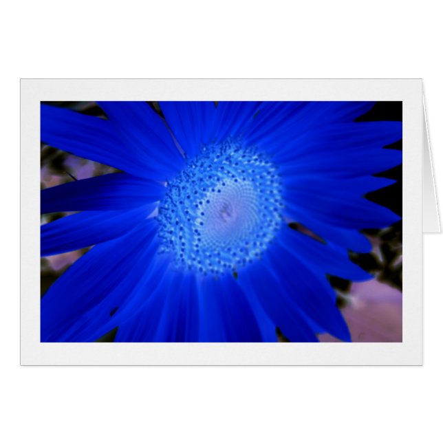 Zonnebloemen (Voorkant Horizontaal)