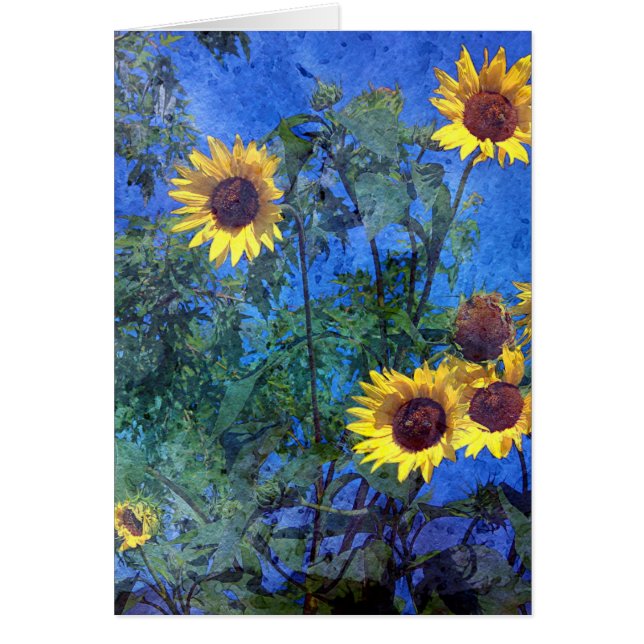 Zonnebloemen (Voorkant)