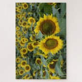 Zonnebloemen - 20x30 inch legpuzzel (Verticaal)