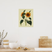Zonnebloemen Antiek kunst van de 17e eeuw Poster (Keuken)