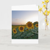 Zonnebloemen bij het poster briefkaart (Gele Bloem)