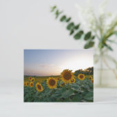 Zonnebloemen bij schemering poster briefkaart (Staand voorkant)