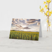 Zonnebloemen bij Zonsondergang Kaart (Gele Bloem)