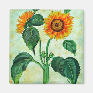 zonnebloemen Botanische Kunst Magneet