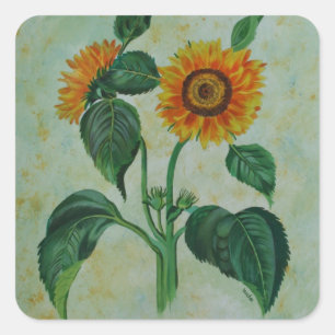zonnebloemen Botanische Kunst Vierkante Sticker