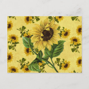 zonnebloemen briefkaart