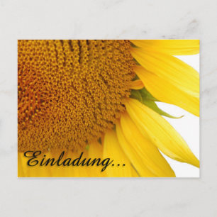 Zonnebloemen Briefkaart