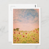 Zonnebloemen Briefkaart (Voorkant / Achterkant)