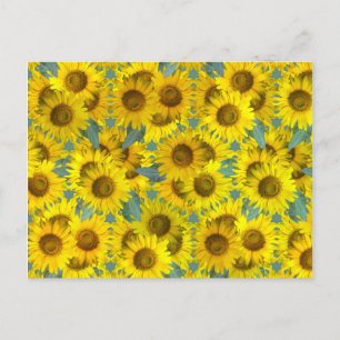 Zonnebloemen Briefkaart