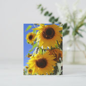 Zonnebloemen Briefkaart (Staand voorkant)