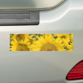 Zonnebloemen Bumpersticker (Op auto)