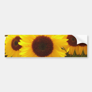Zonnebloemen Bumpersticker