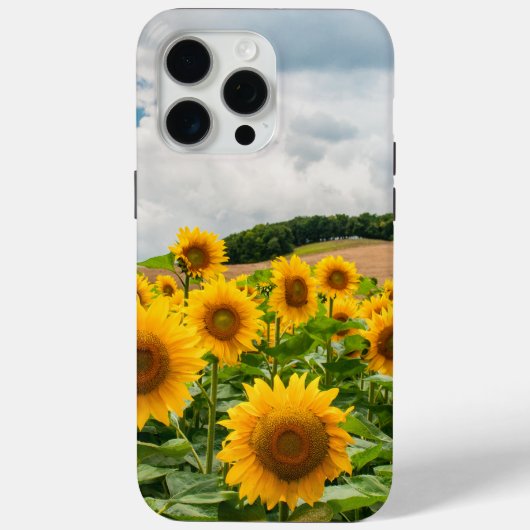 Zonnebloemen Case-Mate iPhone Case (Achterkant)