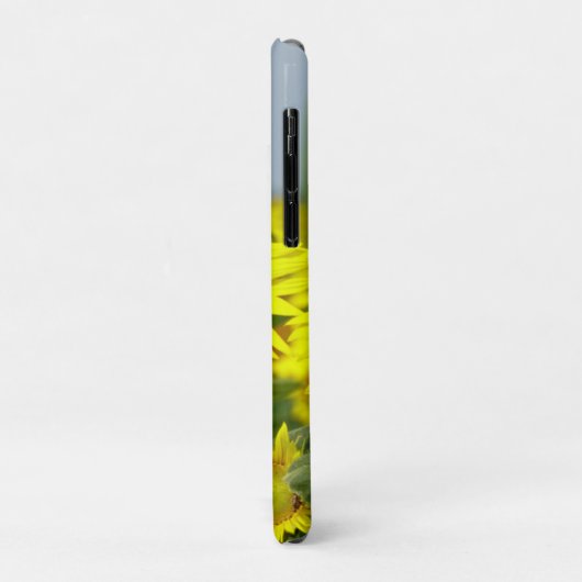Zonnebloemen Case-Mate iPhone Case (Achterkant/links)