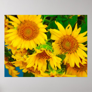 Zonnebloemen City Market KC Farmer's Market Poster