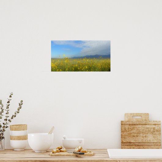 Zonnebloemen, Dunes & Mountains, Colorado Poster (Keuken)