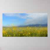 Zonnebloemen, Dunes & Mountains, Colorado Poster (Voorkant)