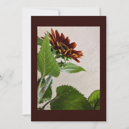 Zonnebloemen, eenvoudige briefkaart, handgeschreve kaart