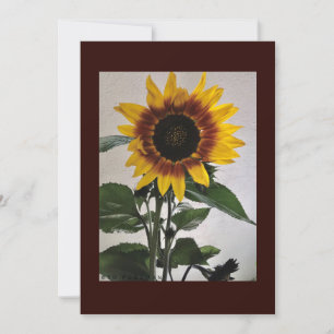 Zonnebloemen, eenvoudige briefkaart, handgeschreve kaart
