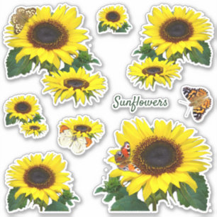 Zonnebloemen en vlinders gesneden vinyl Sticker