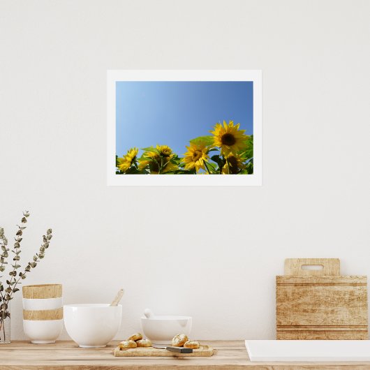 Zonnebloemen en zonnezonne-Poster Poster (Keuken)