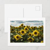 zonnebloemen feestdagenkaart (Voorkant / Achterkant)