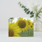 Zonnebloemen Foto Briefkaart (Staand voorkant)