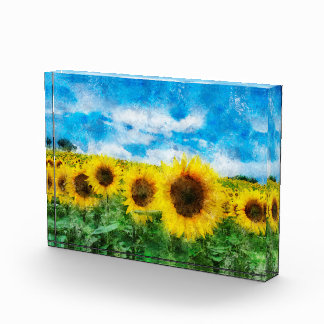 Zonnebloemen Fotoblokken