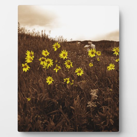 Zonnebloemen Fotoplaat (Voorkant)