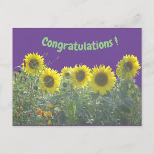 Zonnebloemen Gefeliciteerd Briefkaart