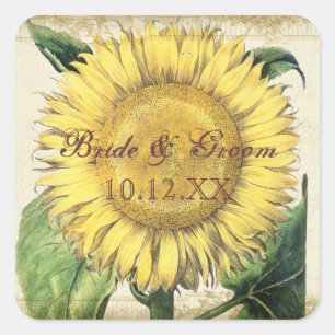 zonnebloemen - herfst herfst huwelijk vierkante sticker