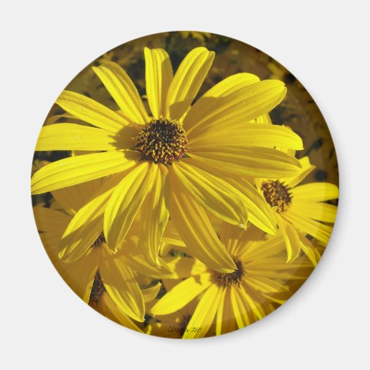 Zonnebloemen in de dierentuin magneet (Voorkant)