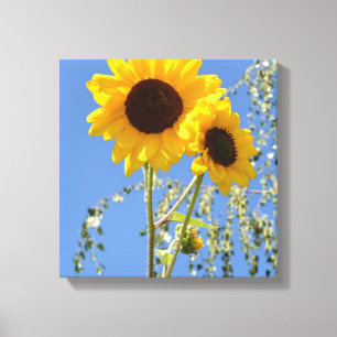 Zonnebloemen in de Sky Canvas Print