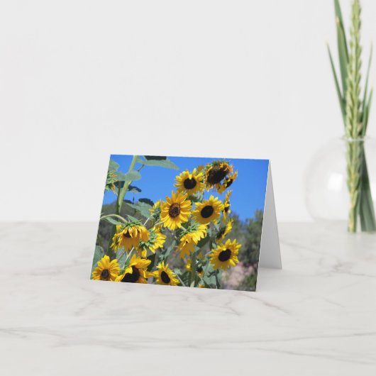Zonnebloemen in de zon en een heldere blauwe lucht notitiekaartje (Voorkant)