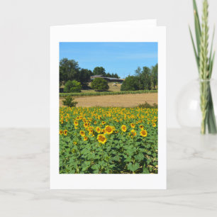 Zonnebloemen in Frankrijk Feestdagen Kaart