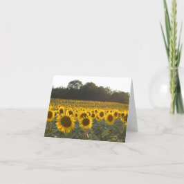 Zonnebloemen in Frankrijk Feestdagen Kaart