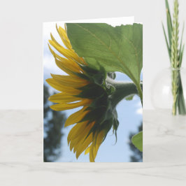 Zonnebloemen in Frankrijk Feestdagen Kaart