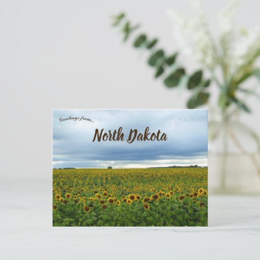 Zonnebloemen in North Dakota, Verenigde Staten Briefkaart (Staand voorkant)