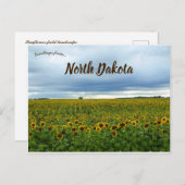 Zonnebloemen in North Dakota, Verenigde Staten Briefkaart (Voorkant / Achterkant)