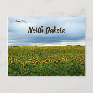 Zonnebloemen in North Dakota Verenigde Staten Briefkaart